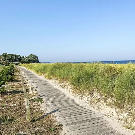 Blaumuschel By Interhome * ルブミン